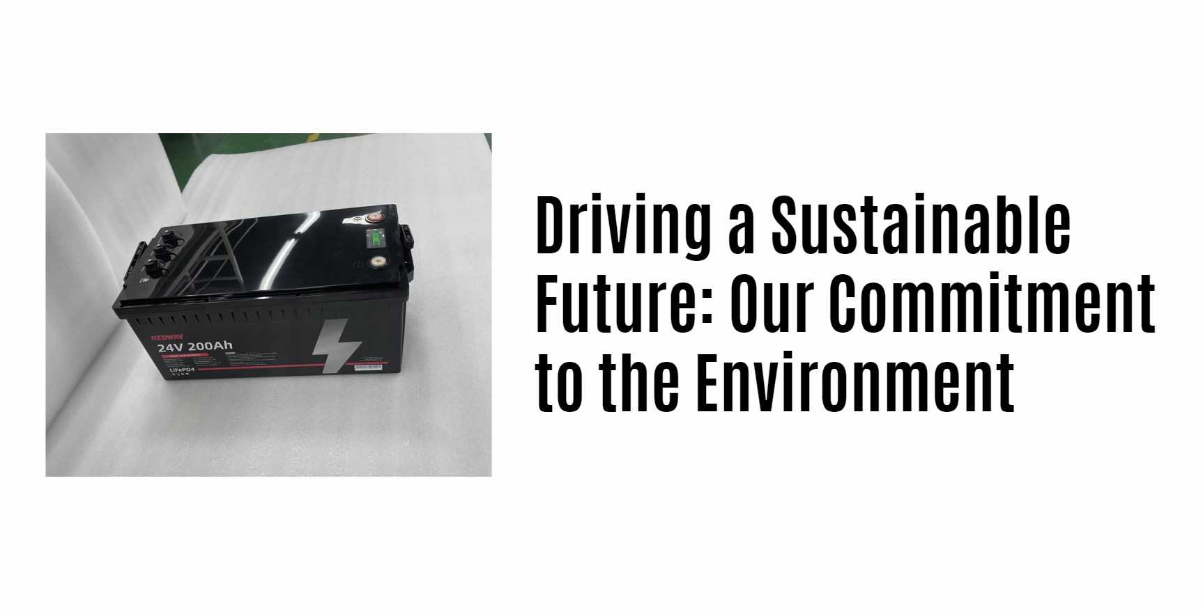 Driving a Sustainable Future: Our Commitment to the Environment