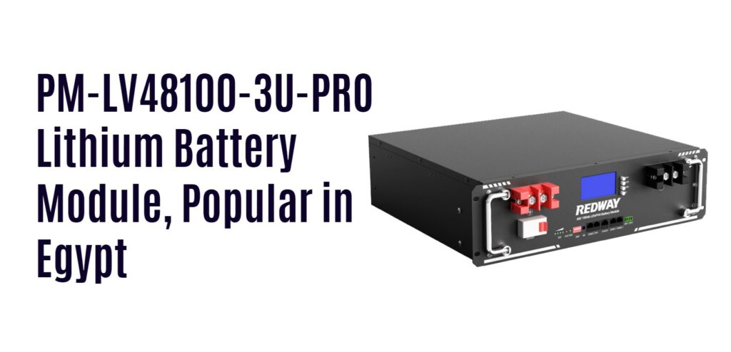 PM-LV48100-3U-PRO Lithium Battery Module, Popular in Egypt. 48v 100ah server rack battery factory oem