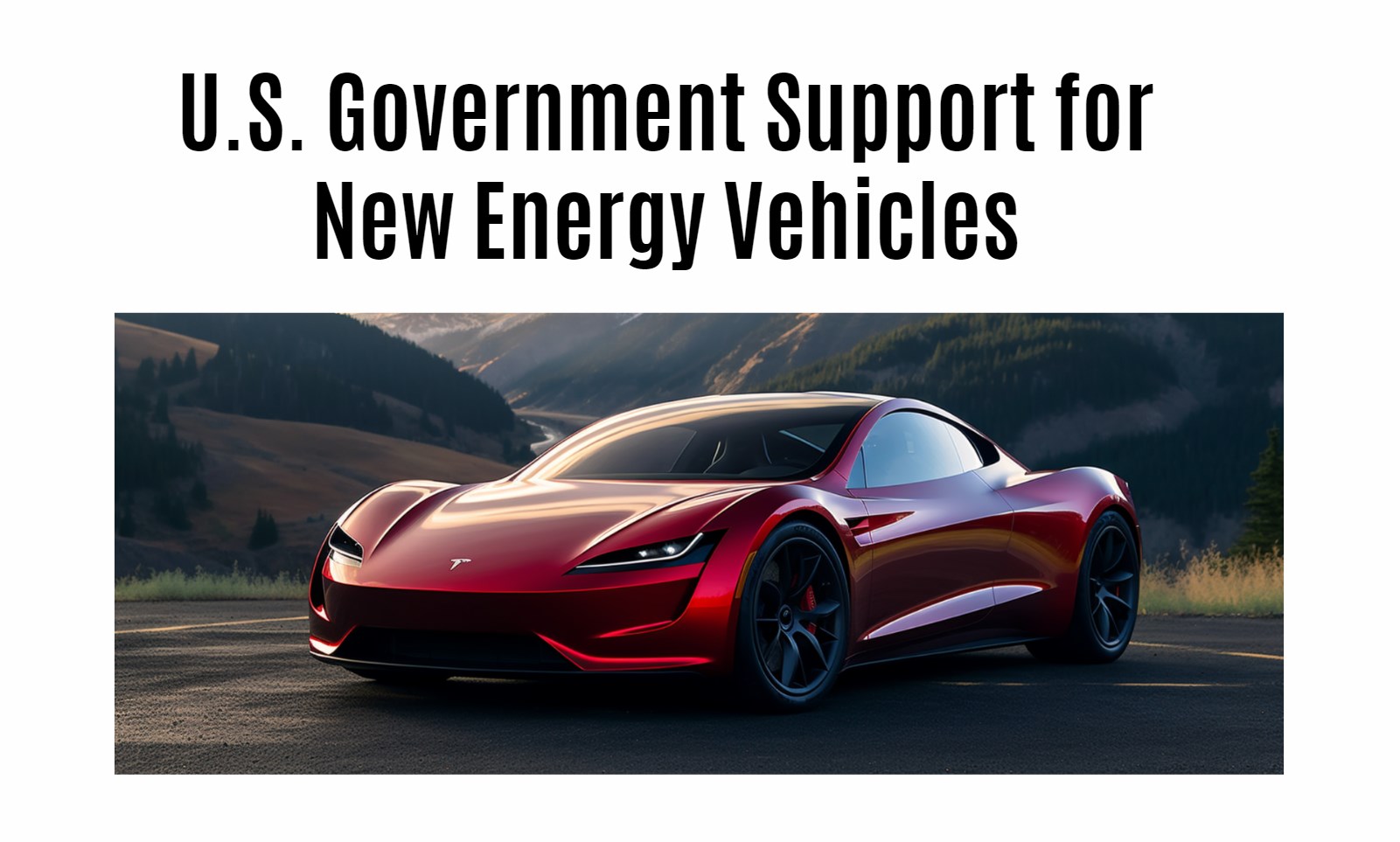 U.S. Government Support for New Energy Vehicles. tesla car