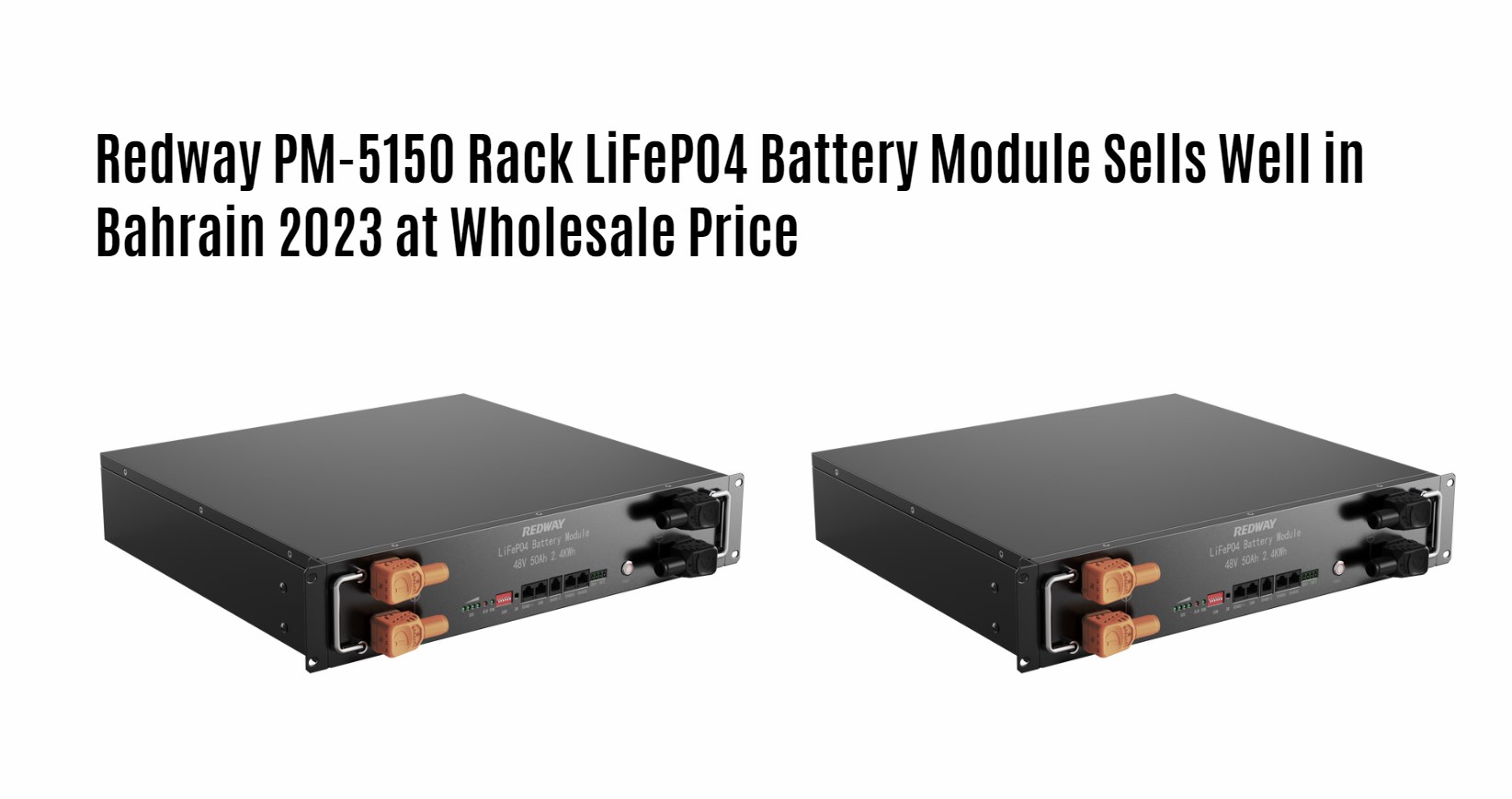Redway PM-5150 Rack LiFePO4 Battery Module Sells Well in Bahrain 2023 at Wholesale Price. 51.2v 50ah server rack battery factory manufacturer oem 48v 50ah snmp