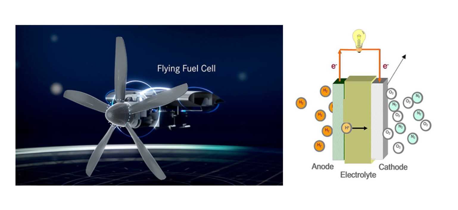 Fuel Cell vs Battery- Which is better?