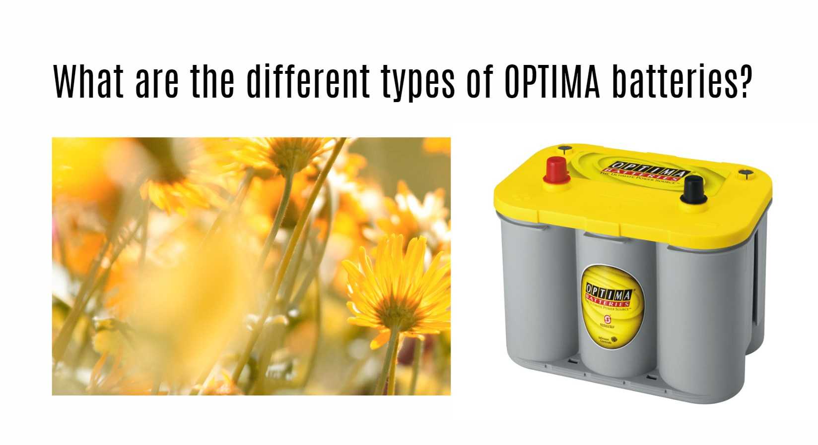 What are the different types of OPTIMA batteries?