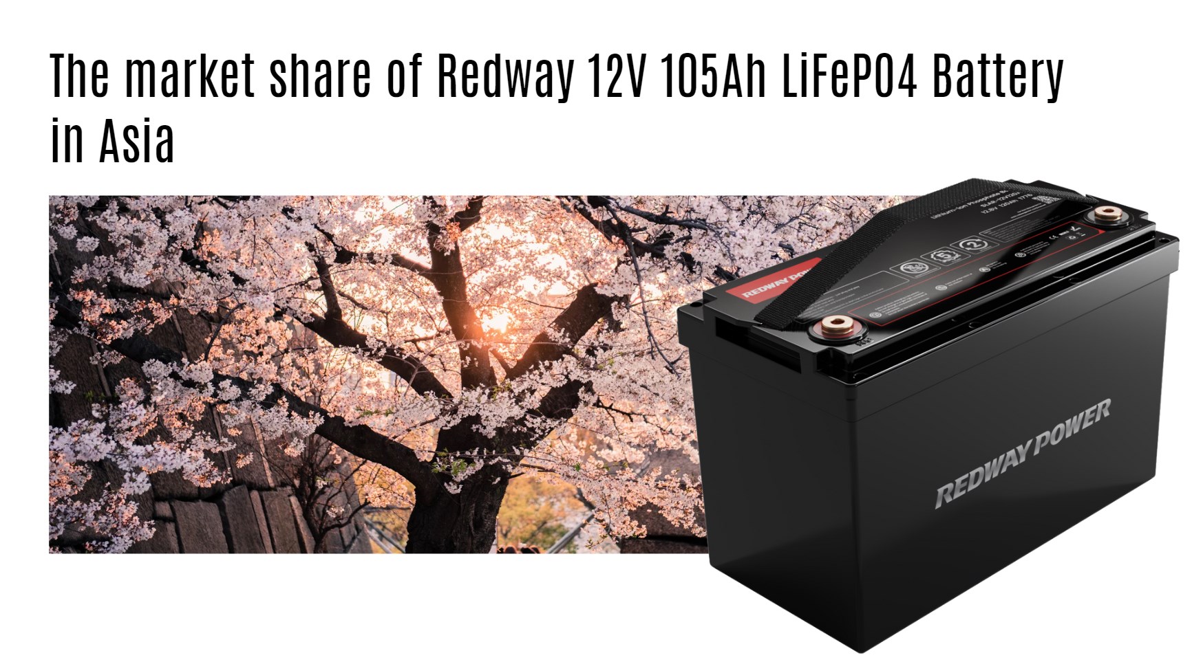 The market share of Redway 12V 105Ah LiFePO4 Battery in Asia