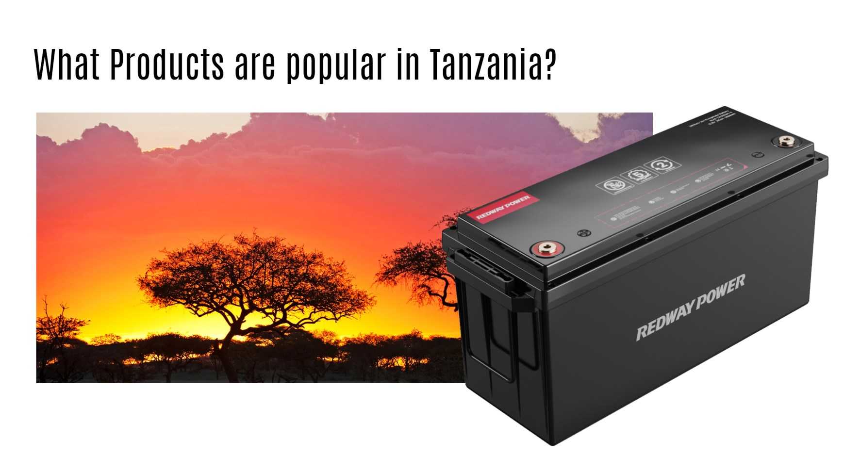 What Products are popular in Tanzania?