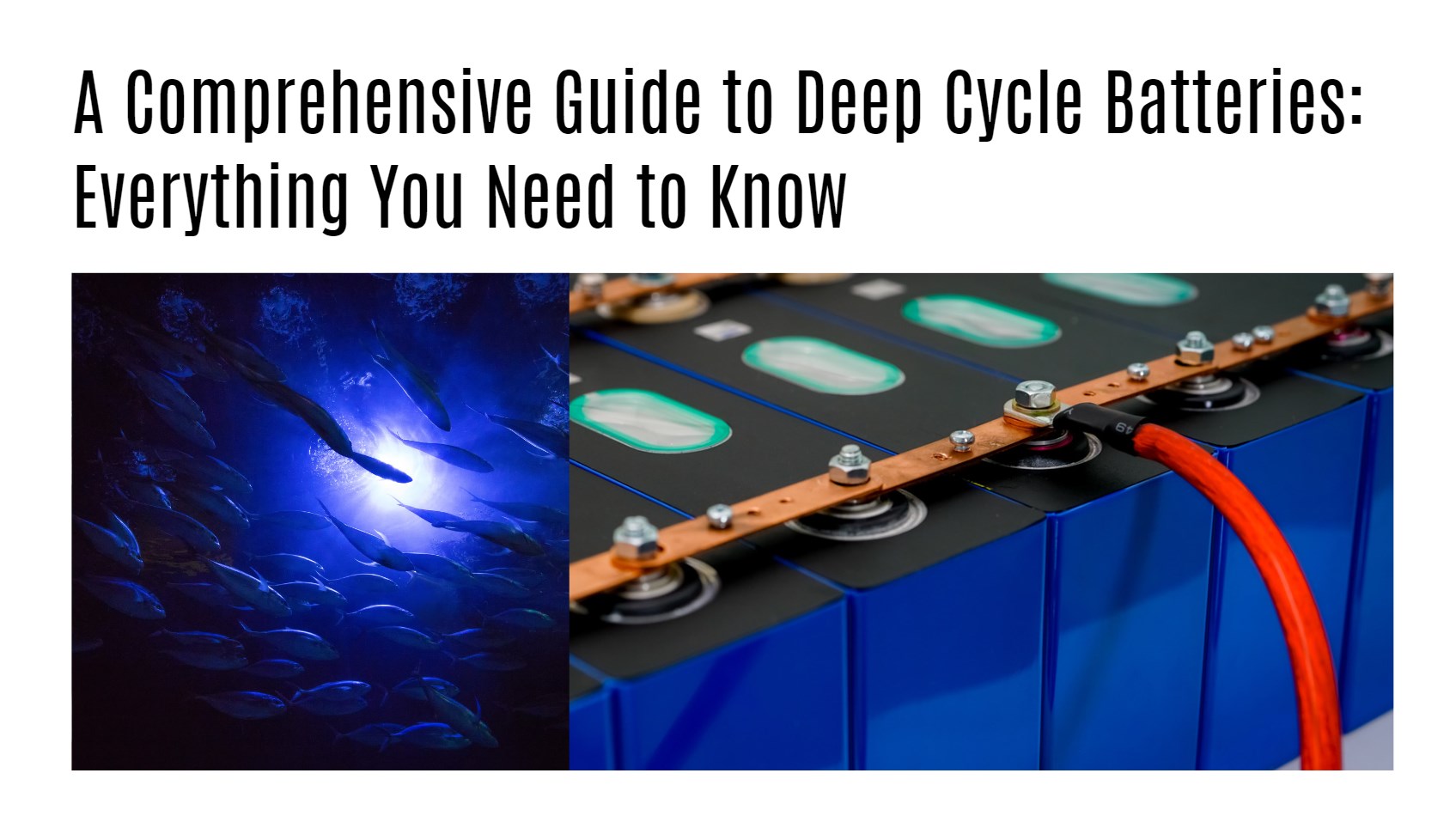 A Comprehensive Guide to Deep Cycle Batteries: Everything You Need to Know