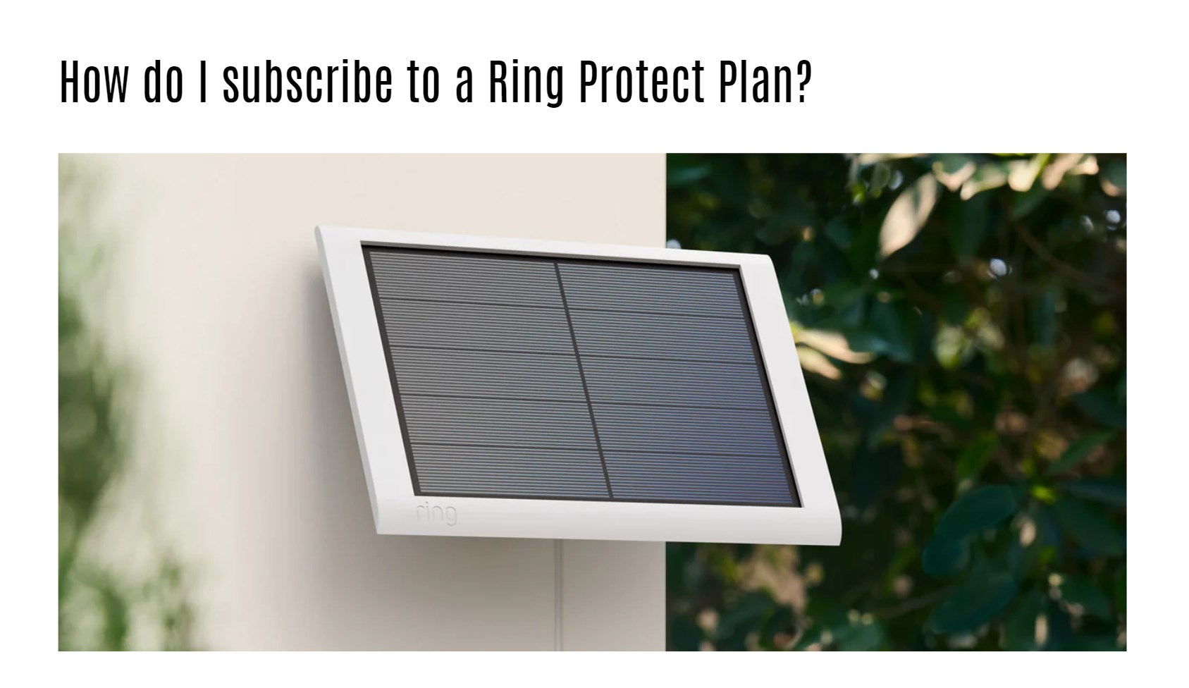 How do I subscribe to a Ring Protect Plan?