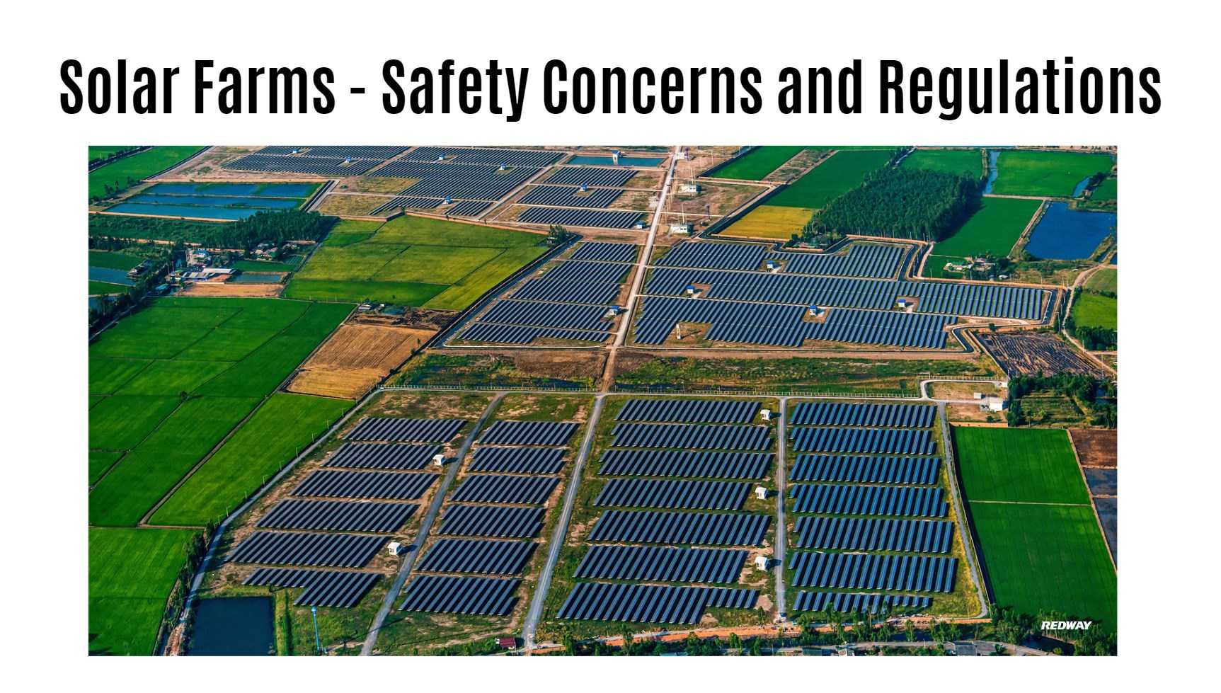 Living Near a Solar Farm Safety Concerns and Regulations