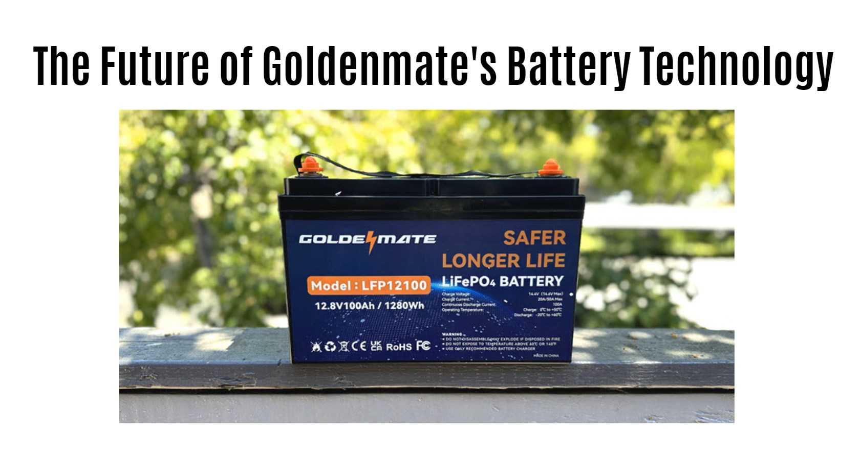 The Future of Goldenmate's Battery Technology