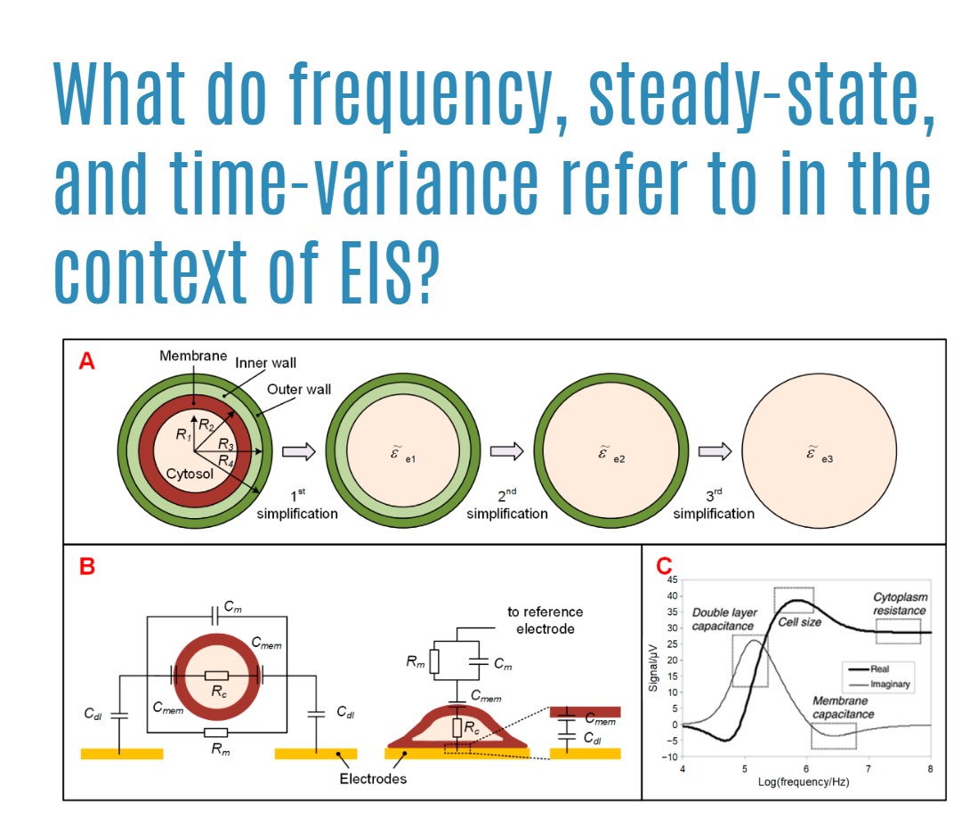 What do frequency, steady-state, and time-variance refer to in the context of EIS?