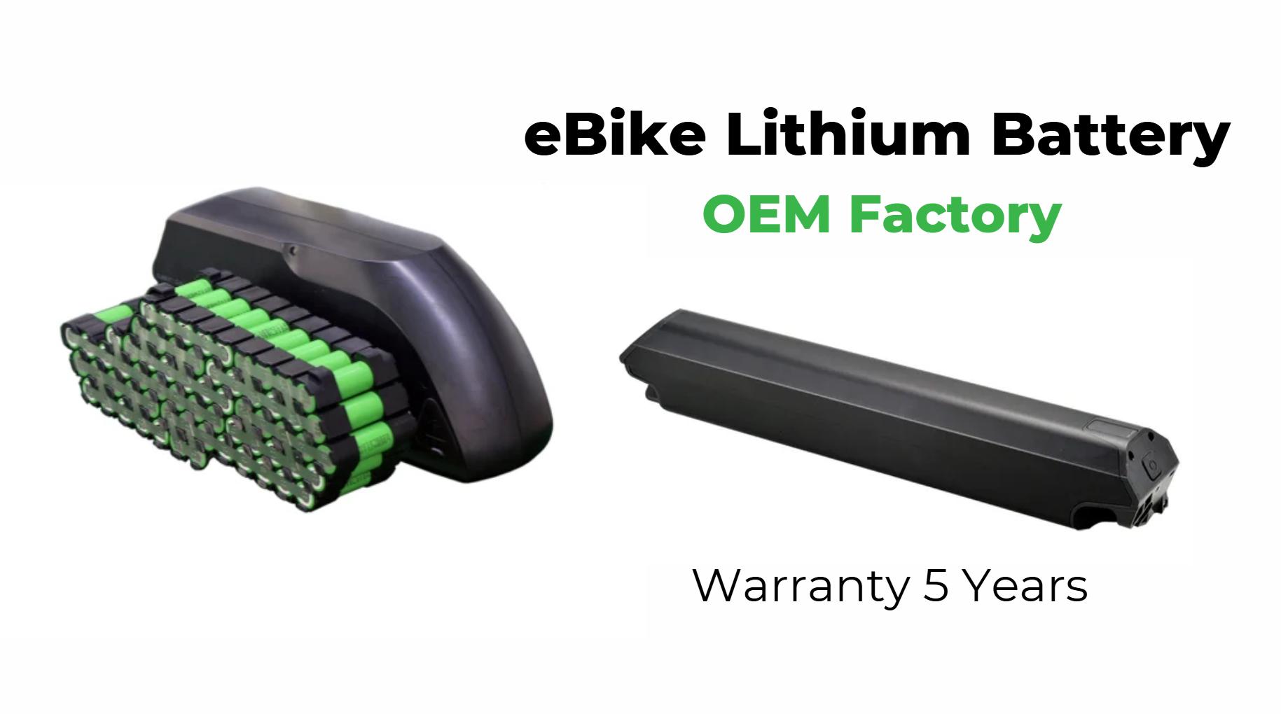 How Do Warranty Options Affect the Overall Value of Lithium Batteries?