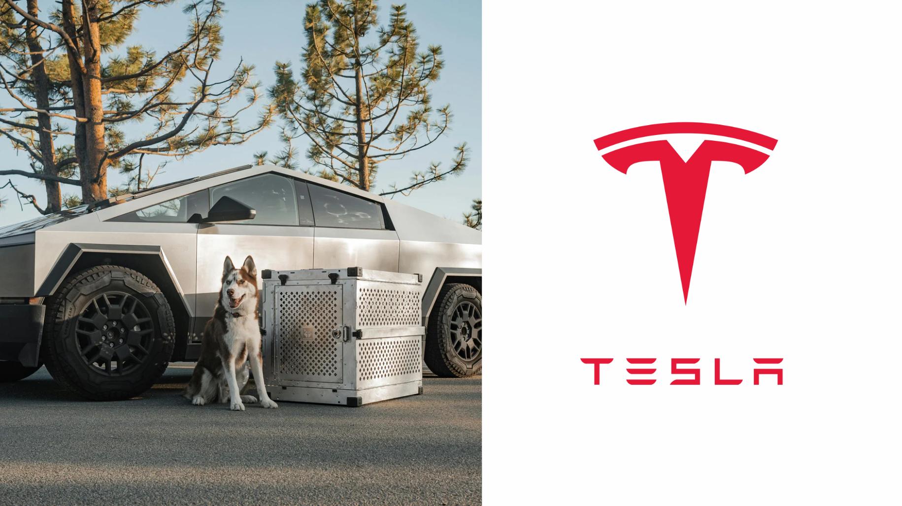 Electric Vehicles: A Game Changer, How does Tesla improve the environment?